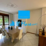 Rent 5 bedroom apartment of 75 m² in Seravezza