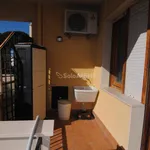 Rent 2 bedroom apartment of 45 m² in Livorno