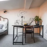 Rent 2 bedroom apartment of 100 m² in Prague