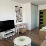 Rent 1 bedroom apartment of 47 m² in Prague