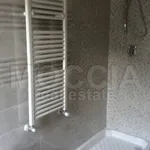 Rent 3 bedroom apartment of 100 m² in Caserta