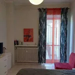 Rent 1 bedroom apartment of 45 m² in turin