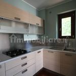 Rent 3 bedroom apartment of 100 m² in Viterbo