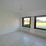 Rent 4 bedroom house of 900 m² in Bellem