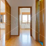 Rent 3 bedroom apartment of 130 m² in Zagreb