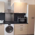 Rent 1 bedroom apartment of 26 m² in Lyon