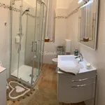 Rent 7 bedroom apartment of 140 m² in Trieste