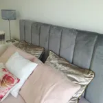 Rent 6 bedroom apartment in Braga