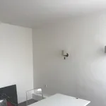 Rent 1 bedroom apartment of 300 m² in Prague