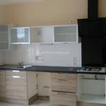 Rent 4 bedroom apartment of 100 m² in Carmaux