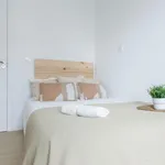 Rent 7 bedroom apartment in Valencia