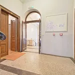 Rent 1 bedroom apartment of 55 m² in Prague