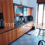 Rent 4 bedroom apartment of 110 m² in Verona