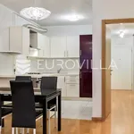 Rent 1 bedroom apartment of 59 m² in Zagreb