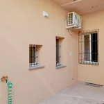 Rent 1 bedroom apartment of 25 m² in Piacenza