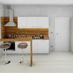 Rent 1 bedroom apartment in České Budějovice