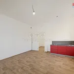 Pronájem bytu 1+kk, 33 m2, Studeněves, okr. Kladno