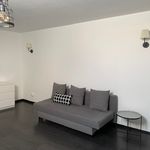 Rent 1 bedroom apartment of 21 m² in Nancy