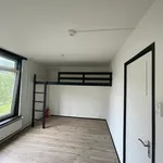 Kamer van 25 m² in Groene Weide