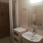 Rent 1 bedroom apartment in Jindřichův Hradec