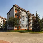 Rent 2 bedroom apartment of 52 m² in Warsaw