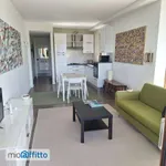 Appartamento arredato con terrazzo Leggiuno