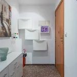 Alquilar 4 dormitorio apartamento en Valencia