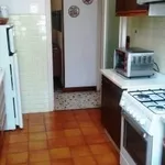 Rent 3 bedroom apartment of 70 m² in Roma