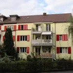 Rent 2 bedroom apartment of 50 m² in Bern