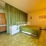 Rent 4 bedroom apartment of 150 m² in Pietrasanta