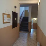 Rent 1 bedroom apartment in Ústí nad Labem