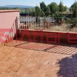 Rent 1 bedroom apartment of 30 m² in Calcinaia