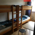 Rent 1 bedroom apartment in Trutnov