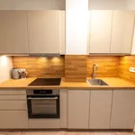 Pronajměte si 1 ložnic/e byt o rozloze 51 m² v Prague