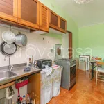 Rent 3 bedroom apartment of 75 m² in Torino