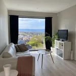 Rent 2 bedroom apartment of 38 m² in Ranheim