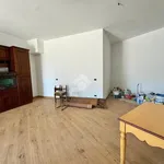 Rent 3 bedroom apartment of 80 m² in Roma