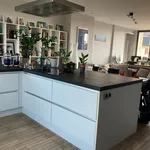 Rent 1 bedroom apartment in Leuven