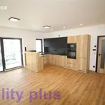 Rent 2 bedroom apartment of 55 m² in Staré Město