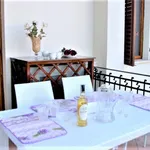 Rent 3 bedroom apartment of 70 m² in Pietrasanta