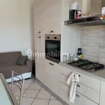 Rent 3 bedroom apartment of 75 m² in Pisa