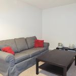 Rent 1 bedroom house in Winchester