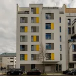 Rent 1 bedroom apartment of 100 m² in Berlin