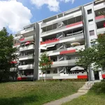 Rent 3 bedroom apartment of 65 m² in Dresden