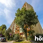 Rent 2 bedroom apartment of 39 m² in Rzeszów