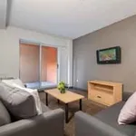 Rent 1 bedroom apartment in Hamilton