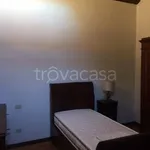 Rent 5 bedroom apartment of 120 m² in Padova