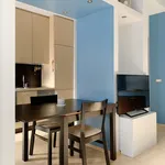 Rent 1 bedroom apartment in Milan