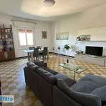 Rent 3 bedroom apartment of 90 m² in Bologna