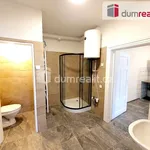 Rent 2 bedroom apartment of 47 m² in Plzeň